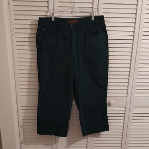 Judy Blue Forest Green Pants